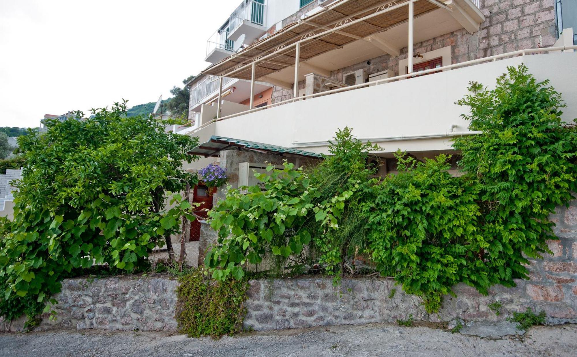 Medin Di Lastua Petrovac Exteriör bild